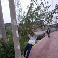 /photo/640036/生活照片/psb (1)_1_6_small.jpg